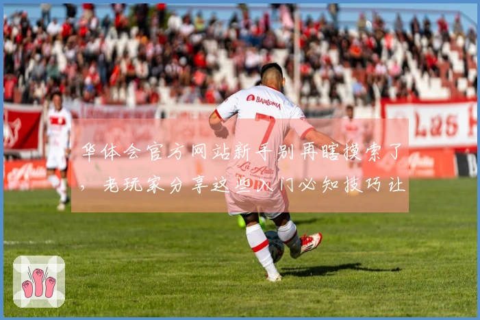 华体会官方网站新手别再瞎摸索了，老玩家分享这些入门必知技巧让你少走弯路